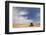 Wheat Field and Combine, North Platte, Nebraska, USA-Walter Bibikow-Framed Photographic Print