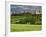 Wheat field and distant Monteriggioni, Siena, Tuscany, Italy-Adam Jones-Framed Photographic Print