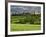 Wheat field and distant Monteriggioni, Siena, Tuscany, Italy-Adam Jones-Framed Photographic Print