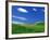 Wheat Field and Fence-Darrell Gulin-Framed Photographic Print