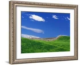 Wheat Field and Fence-Darrell Gulin-Framed Photographic Print