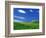 Wheat Field and Fence-Darrell Gulin-Framed Photographic Print