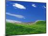 Wheat Field and Fence-Darrell Gulin-Mounted Photographic Print