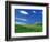 Wheat Field and Fence-Darrell Gulin-Framed Photographic Print