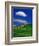 Wheat Field and Fence-Darrell Gulin-Framed Photographic Print