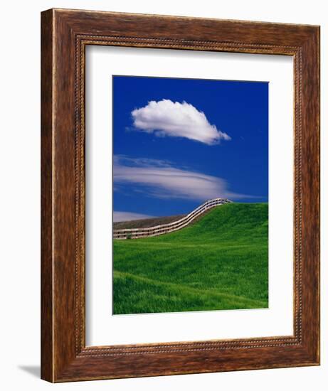 Wheat Field and Fence-Darrell Gulin-Framed Photographic Print