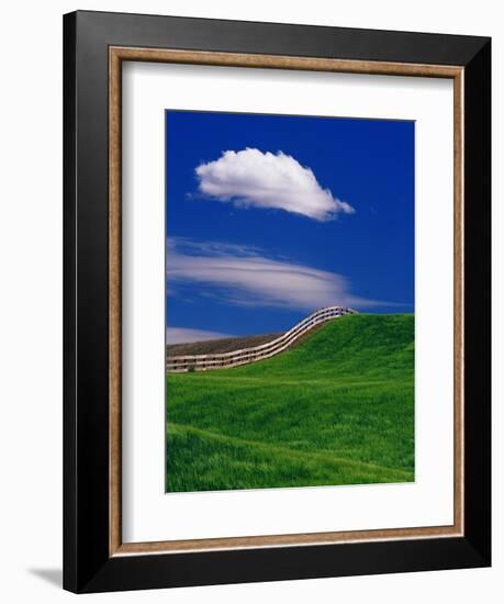 Wheat Field and Fence-Darrell Gulin-Framed Photographic Print