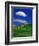 Wheat Field and Fence-Darrell Gulin-Framed Photographic Print