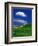 Wheat Field and Fence-Darrell Gulin-Framed Photographic Print