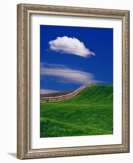 Wheat Field and Fence-Darrell Gulin-Framed Photographic Print