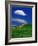 Wheat Field and Fence-Darrell Gulin-Framed Photographic Print