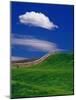 Wheat Field and Fence-Darrell Gulin-Mounted Photographic Print