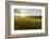 Wheat Field at Sunrise, Austria, Hardegg-Volker Preusser-Framed Photographic Print