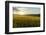 Wheat Field at Sunrise, Austria, Hardegg-Volker Preusser-Framed Photographic Print