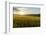 Wheat Field at Sunrise, Austria, Hardegg-Volker Preusser-Framed Photographic Print