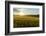 Wheat Field at Sunrise, Austria, Hardegg-Volker Preusser-Framed Photographic Print