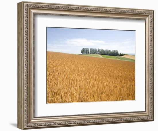 Wheat field, Biei, Hokkaido, Japan-Aso Fujita-Framed Photographic Print