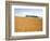 Wheat field, Biei, Hokkaido, Japan-Aso Fujita-Framed Photographic Print