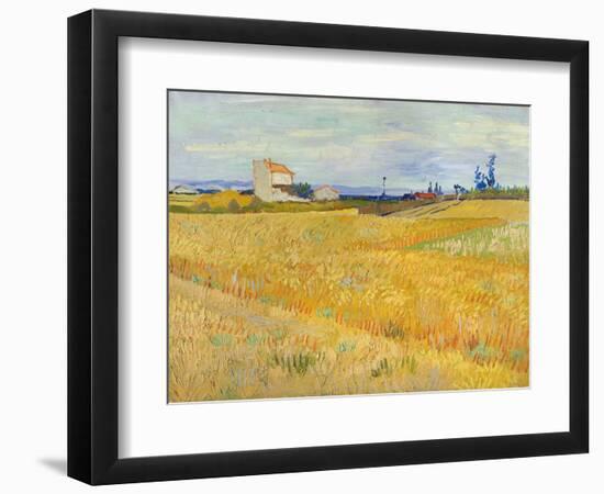 Wheat Field (Champs De Blé), 1888 (Oil on Canvas)-Vincent van Gogh-Framed Giclee Print