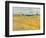 Wheat Field (Champs De Blé), 1888 (Oil on Canvas)-Vincent van Gogh-Framed Giclee Print