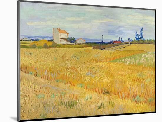 Wheat Field (Champs De Blé), 1888 (Oil on Canvas)-Vincent van Gogh-Mounted Giclee Print