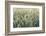 Wheat field, cultivated plants and agriculture, Yonne, France, Europe-Godong-Framed Photographic Print