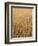 Wheat Field, Grain, Ears of Wheat-Thonig-Framed Photographic Print