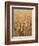 Wheat Field, Grain, Ears of Wheat-Thonig-Framed Photographic Print