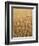 Wheat Field, Grain, Ears of Wheat-Thonig-Framed Photographic Print