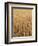 Wheat Field, Grain, Ears of Wheat-Thonig-Framed Photographic Print