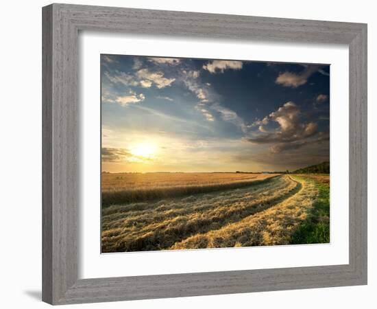 Wheat Field in Late Summer at Sunset-Givaga-Framed Photographic Print