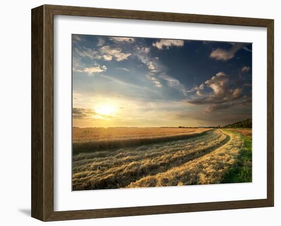 Wheat Field in Late Summer at Sunset-Givaga-Framed Photographic Print