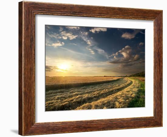 Wheat Field in Late Summer at Sunset-Givaga-Framed Photographic Print