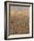 Wheat Field in the Dordogne, Aquitaine, France-Jonathan Hodson-Framed Photographic Print