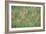 Wheat Field in the Sonoran Desert, Arizona-null-Framed Photographic Print