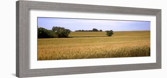 Wheat Field, Kansas, USA-null-Framed Photographic Print