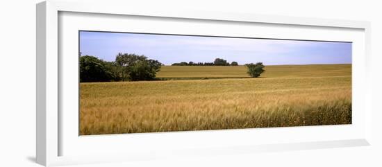 Wheat Field, Kansas, USA-null-Framed Photographic Print