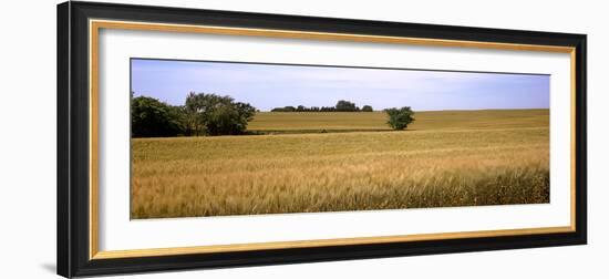 Wheat Field, Kansas, USA-null-Framed Photographic Print