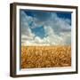 Wheat Field Landscape with Sky-Leonid Nyshko-Framed Photographic Print