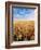 Wheat Field, Oregon, USA-Stuart Westmorland-Framed Photographic Print