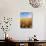 Wheat Field, Oregon, USA-Stuart Westmorland-Photographic Print displayed on a wall
