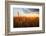 Wheat Field over Sunset-TTstudio-Framed Photographic Print