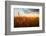 Wheat Field over Sunset-TTstudio-Framed Photographic Print