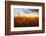 Wheat Field over Sunset-TTstudio-Framed Photographic Print