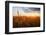 Wheat Field over Sunset-TTstudio-Framed Photographic Print