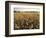 Wheat Field Ready for Harvesting, Louisville, Kentucky, USA-Adam Jones-Framed Photographic Print