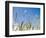 Wheat Field, Siena Province, Tuscany, Italy-Nico Tondini-Framed Photographic Print