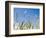 Wheat Field, Siena Province, Tuscany, Italy-Nico Tondini-Framed Photographic Print