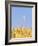 Wheat Field, Triticum Aestivum, Ears, Sky, Blue-Herbert Kehrer-Framed Photographic Print