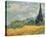 Wheat Field With Cypresses-Vincent Van Gogh-Framed Stretched Canvas